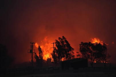 Türkiye'nin ciğerleri yanıyor: Yangınlara müdahalede son durum