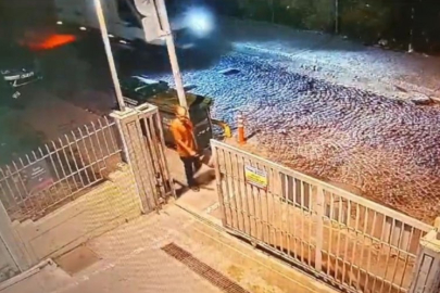 İstanbul'da sokak köpeklerinin saldırısına uğrayan adam hayatını kaybetti