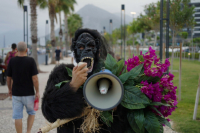 Ünlü şarkıcı goril kostümü giyerek maymun çiçeği virüsüne dikkat çekti!