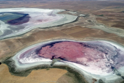 Flamingo cenneti olan göl kurudu