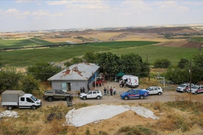 Narin'in köyü Tavşantepe ile ilgili 2018'deki haber olay oldu