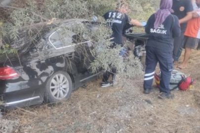 Konya'da otomobil yol kenarındaki ağaçlara çarptı: 1 ölü, 1 yaralı