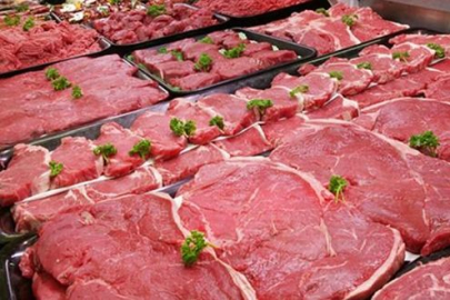 Tek tırnak eti nedir? Hangi hayvanlar tek tırnaklı?