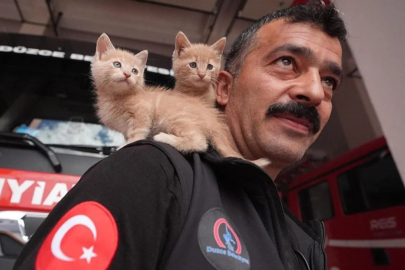 Düzce'de itfaiye çalışanı, kurtarılan kedi yavrularını sahiplendi