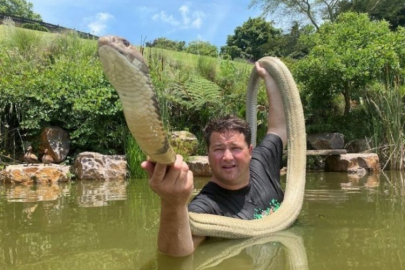 Yılan terbiyecisi fenomen kobra ısırığıyla hayatını kaybetti!