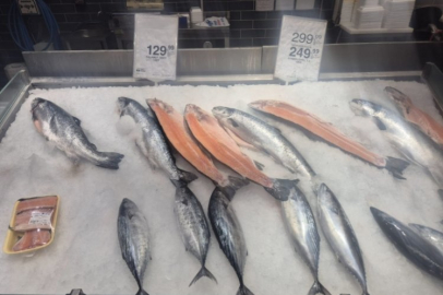 Bursa'da palamut ve somon balığının marketteki fiyatı dikkat çekti!