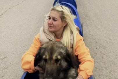 Köpek velisi Buket Özgünlü'nün "araç" vurgunu