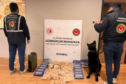 İstanbul'da 67 milyon liralık uyuşturucu operasyonu