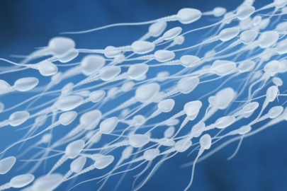 Sperm yutarsanız ne olur?