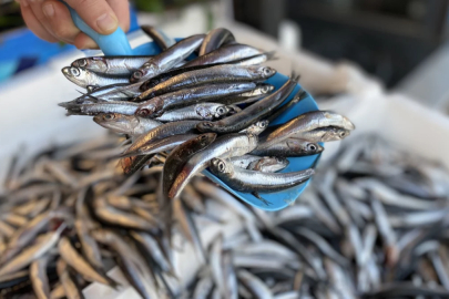 Ocak ayında hangi balıklar yenir? İşte Ocak ayında yenecek 7 balık...