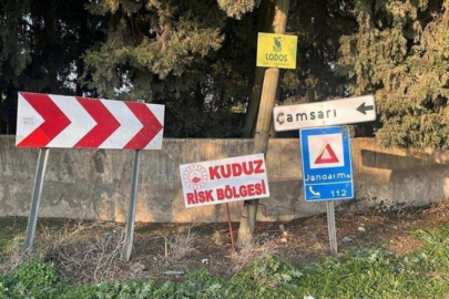 Bir kentte kuduz alarmı!