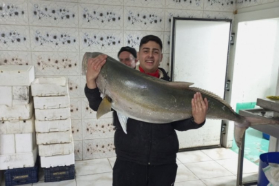 50 kiloluk Akya balığını 2 kişi, 2 saatlik mücadeleyle yakalamayı başardı