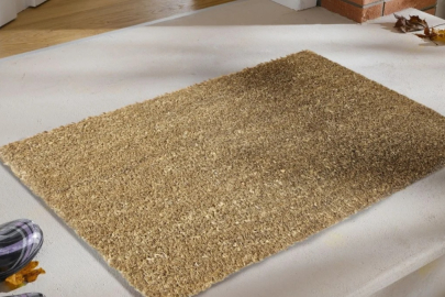 Bakın kapının önünde duran paspas nelere yol açıyormuş