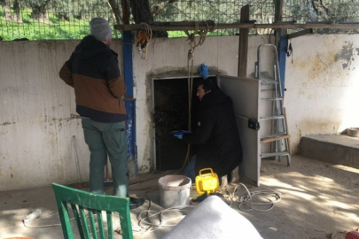 Bursa'da kaçak kazı operasyonu