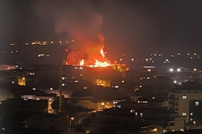 Bursa Kestel Kalesi'nde büyük yangın!