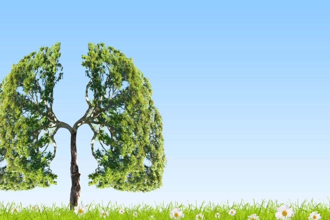 Akciğerlerinizi Doğal Yöntemlerle Temizleyin