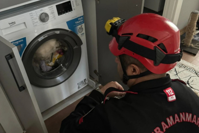 Kahramanmaraş’ta kedi çamaşır makinesine sıkıştı