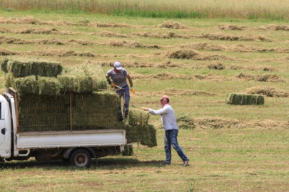 Saman fiyatları zamlandı