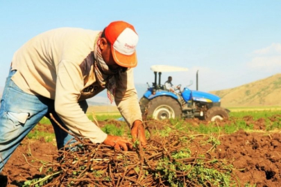 Türkiye'de tarım sektörü sıkıntıda!