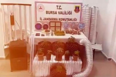 Bursa Jandarması'ndan dev operasyon!
