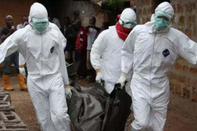 Şiddetli yağışlar sonrası salgın ortaya çıktı!