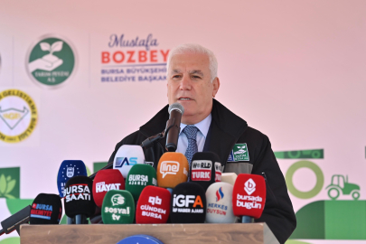 Büyükşehir’den çiftçiye 1 milyon 222 bin adet çilek fidesi