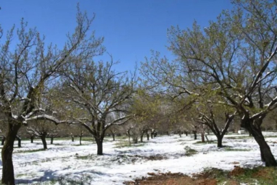 Kar ve soğuk kentin bel kemiğini vurdu