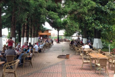 Bursa'da belediyeden kiralık çay bahçesi!