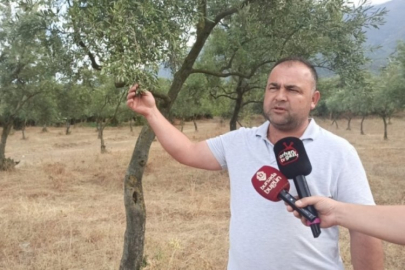 Bursa'da zirai don göz yanığına neden oldu!