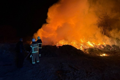 Bursa'da yakılan zeytin dalları panik yarattı! Alevler ve yoğun duman birçok noktadan görüldü...