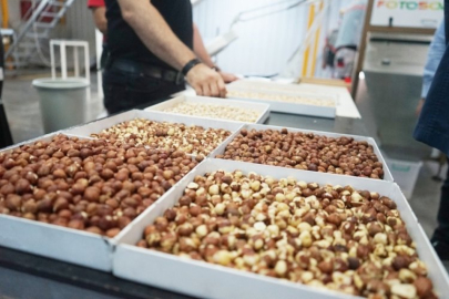 Borca batan ünlü kuruyemiş devi için flaş karar!