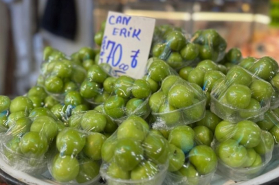 Bursa'da erik aldı başını gidiyor! 7 tanesi...