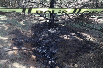 Eskişehir'de kaybolan genç kadın ormanda yakılarak öldürüldü