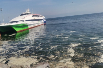 Görüntü Bursa'dan! Kabus yine ortaya çıktı...