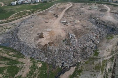 Bursa'da hayvan katliamı iddiası! Kent ayağa kalktı...