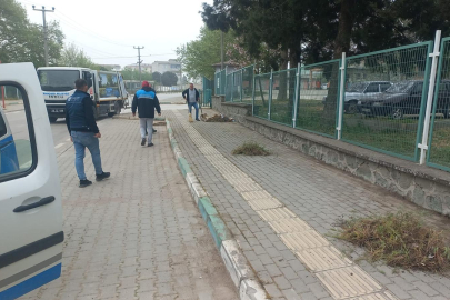 Karacabey Belediyesi’nden yabani otlara karşı etkin mücadele!