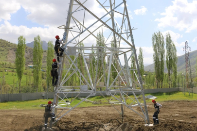 Şırnak ve Hakkari arasına enerji nakil hattı kuruluyor