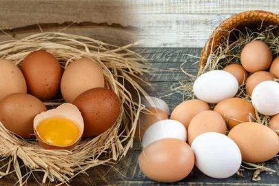 Yumurta fiyatları düşüşe geçti