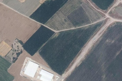 Bölgenin en değerlilerinden! Bursa'da milyonluk arazi paylaşılamadı...