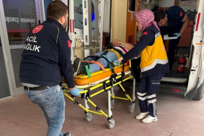 Bursa'da korkunç kaza! Köpeğe çarptı, ölümün pençesine düştü...