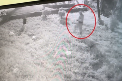 Bursa'da sakar hırsız yakayı ele verdi!