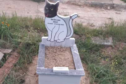 Ölen kedisini mezarlığa gömüp, mezar taşı yaptırdı