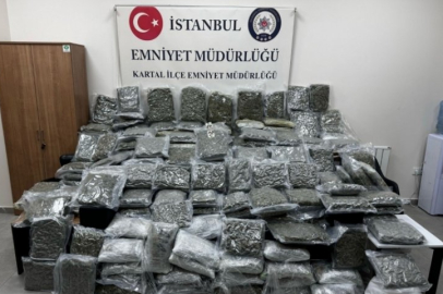 Petshop görünümlü depodan neler çıktı neler...