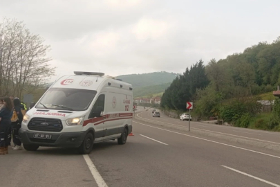 Zonguldak'ta otomobil tarlaya uçtu