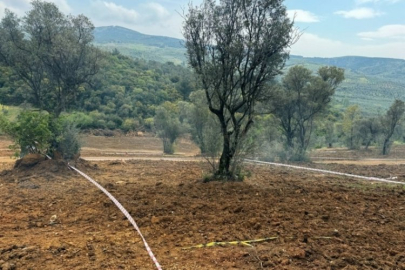 Bursa'da arazilerinizi koruyun, hisseli satışlara dikkat!