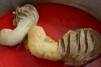 Şırdan faydalı mı? Şırdan neye iyi gelir?