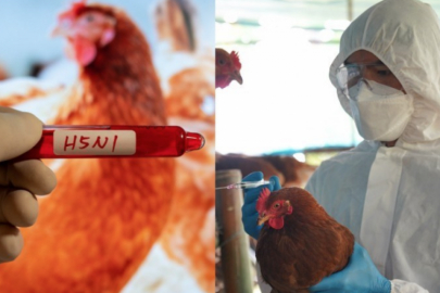 Yeni pandemi kapıda mı? Kontrolden çıktı