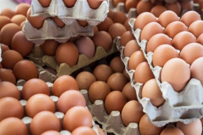 Yumurtada dikkat çeken fiyat değişimi!