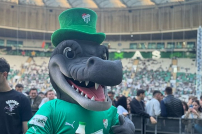 Bursa'nın ilk timsahı Majid sahalarda!