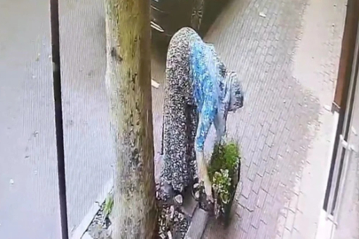 Bursa'da Dükkanın Önüne Koyulan Çiçekler Çalındı